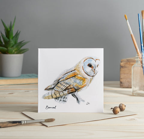 Barn owl greeting card